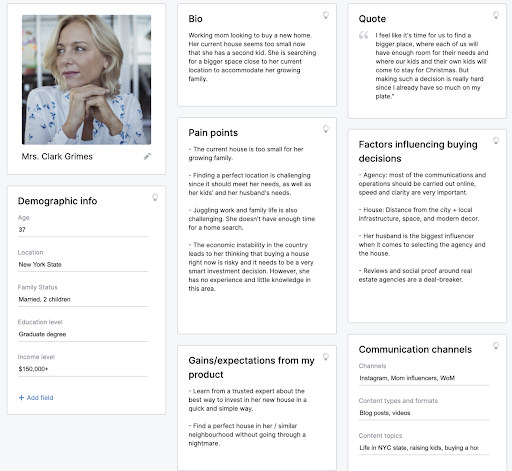 理想的客户档案示例