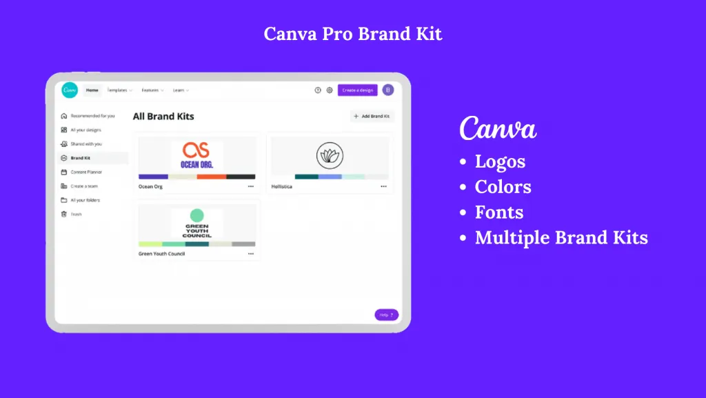 Canva-Pro-Marka Kiti-1024x577-1
