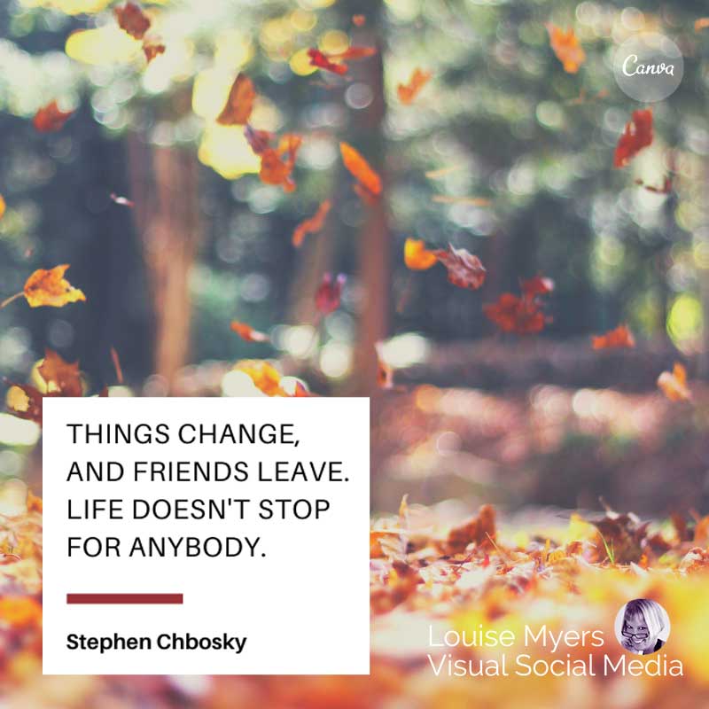 낙엽 사진은 사물이 변하고 친구가 떠나는 것을 말합니다.