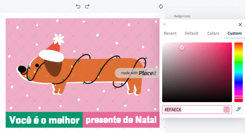 Placeit Üzerine Hex Kodu Nasıl Eklenir?