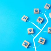 program sindikasi perdagangan yang sukses