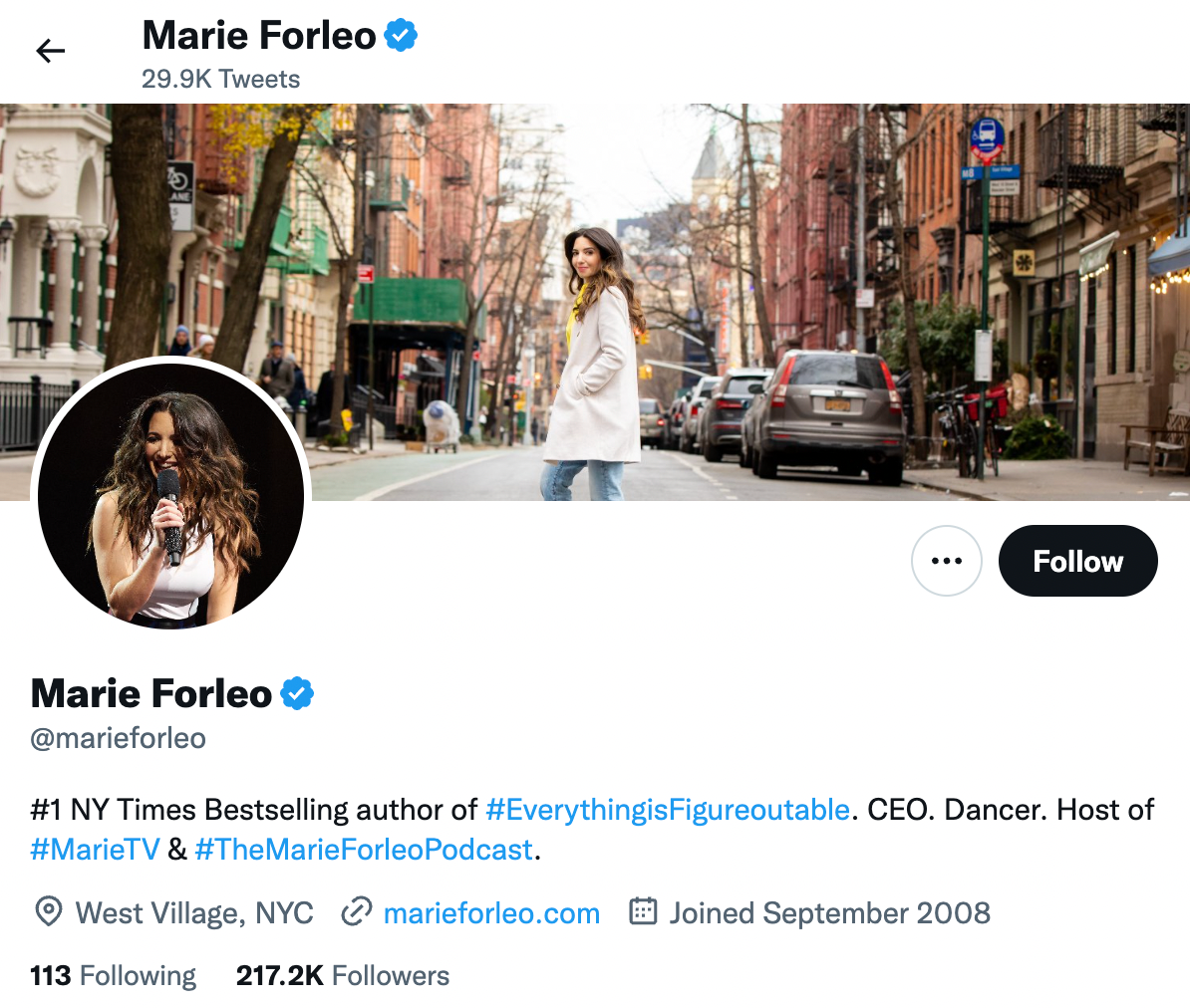 Twitter バイオの例