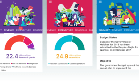 马尔代夫岛国如何利用技术为人民提供权力、安全和就业机会。