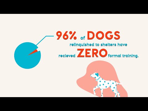 فيديو يوتيوب