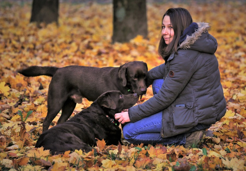 تدريب الكلب الخاص بك