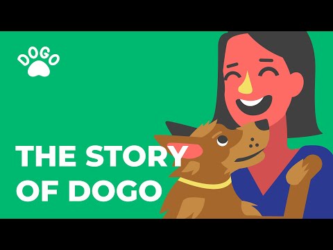 فيديو يوتيوب