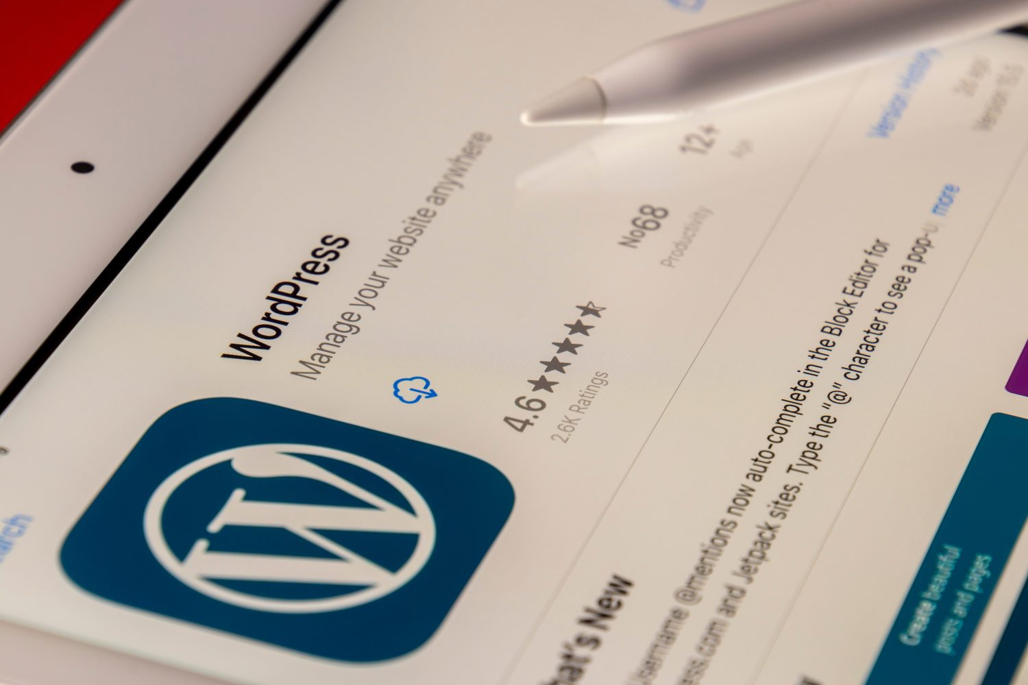 Plugin de SEO para Wordpress