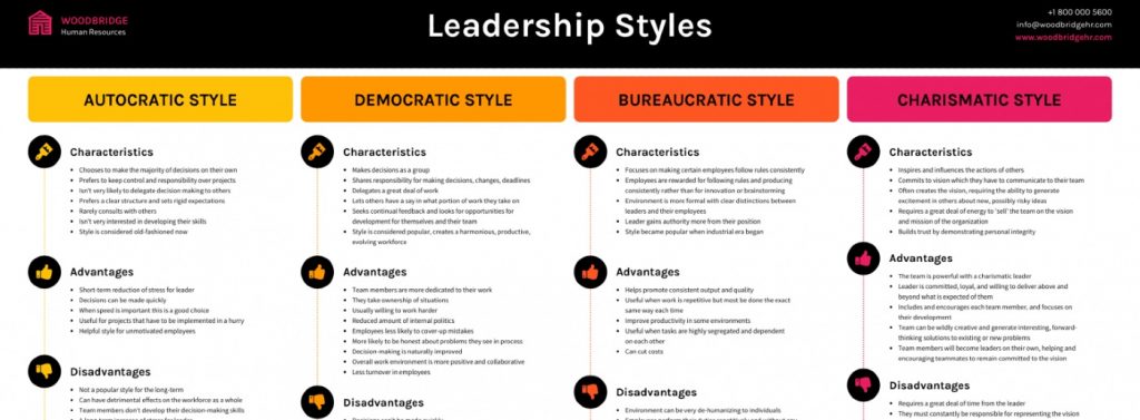 criador de infográfico online perfeito