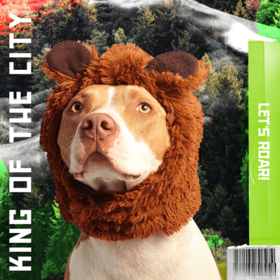 Creatore di copertine per album con un collage vintage con grafica girasole 2762g (7)