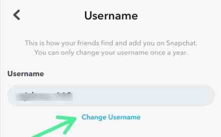 Fare clic sull'opzione Cambia nome utente per modificare il nome utente Snapchat.