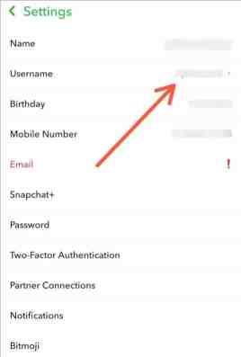 tocca l'opzione Nome utente per cambiare il nome utente di Snapchat.