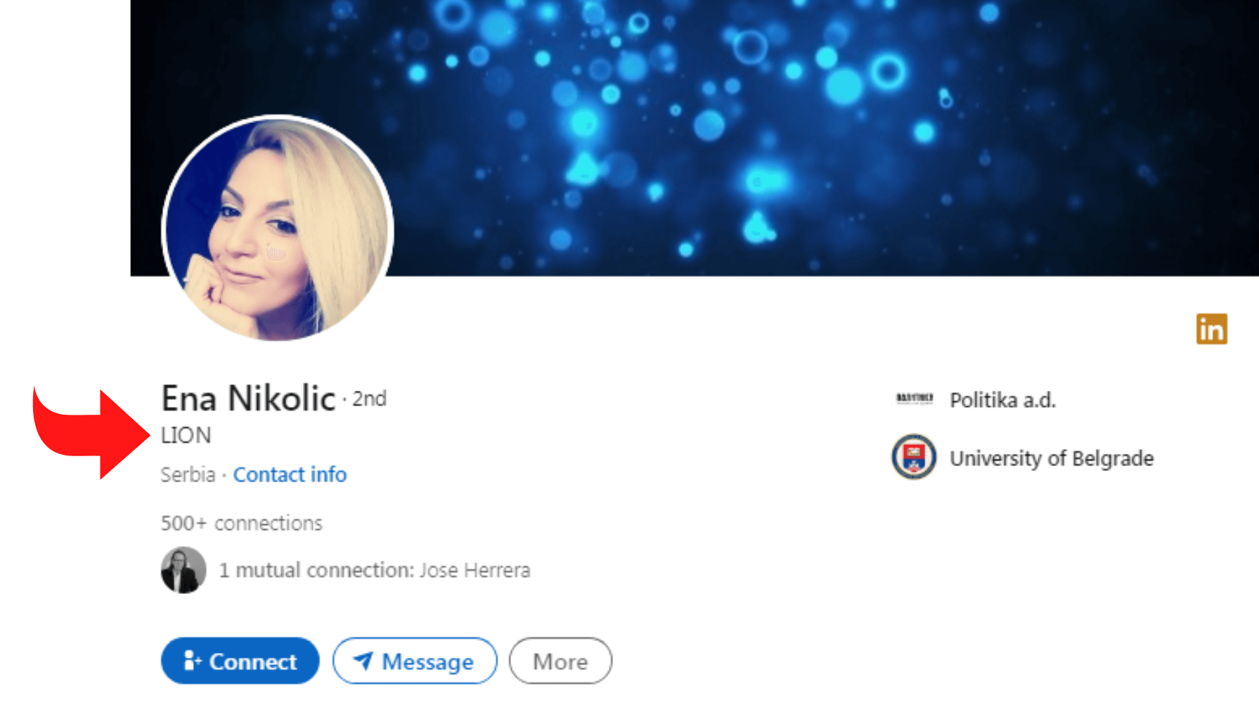 profilo-linkedin-lion