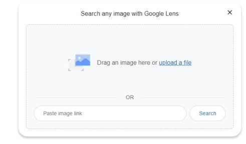 Căutare inversă de imagini pe computer pentru căutarea inversă de imagini Google