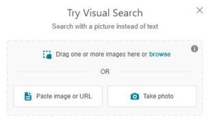 Căutare inversă de imagini Folosind Bing pentru căutarea inversă de imagini Google