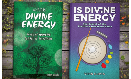 Modern Bilimin Sınırlamalarına Yönetim Çözümü: VIPIN Projesi