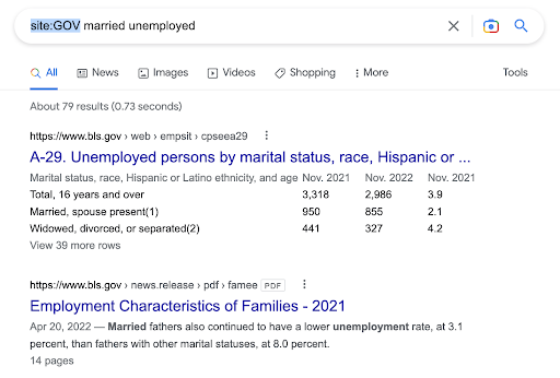 Google GOV フィルタ