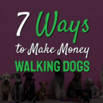 犬の散歩でお金を稼ぐ方法