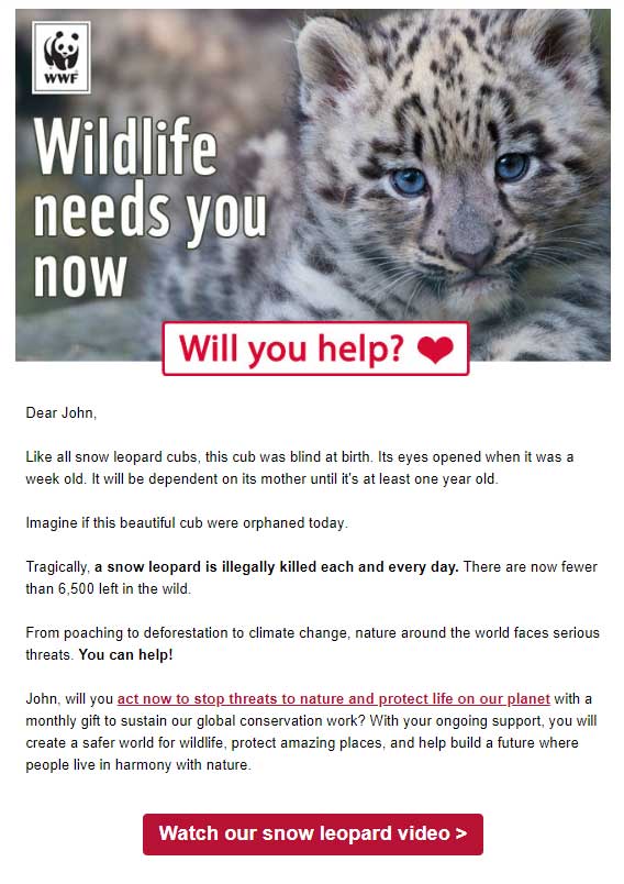 ดับเบิลยูดับเบิลยูเอฟ