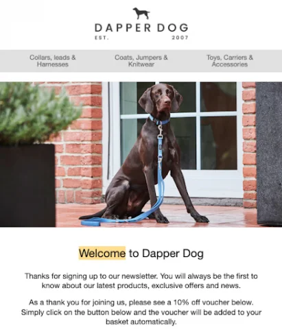 o pagină de înscriere la buletin informativ pe un site web pentru marca „Dapper Dog”