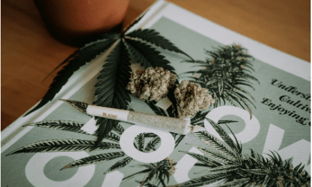 臭いを素早く、そして永遠に取り除くための究極のガイド