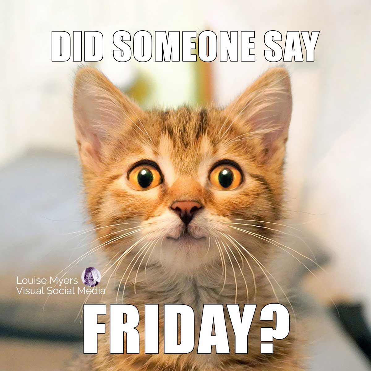 แมวน่ารักยิ้มพูดว่า วันศุกร์ มีคนพูดไหม?