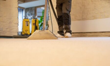 ハッセルフリーのエッセンシャルガイド、プロのカーペットクリーナーを予約