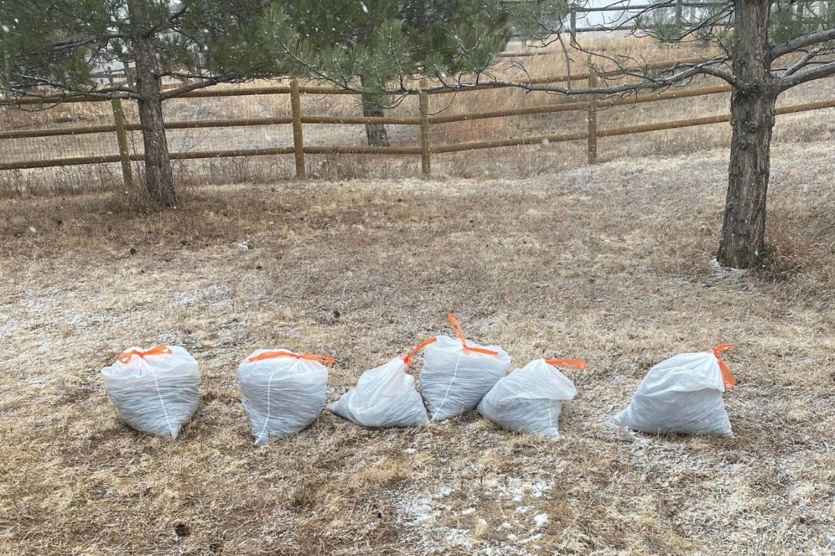 การกำจัดของเสียจากสัตว์เลี้ยง