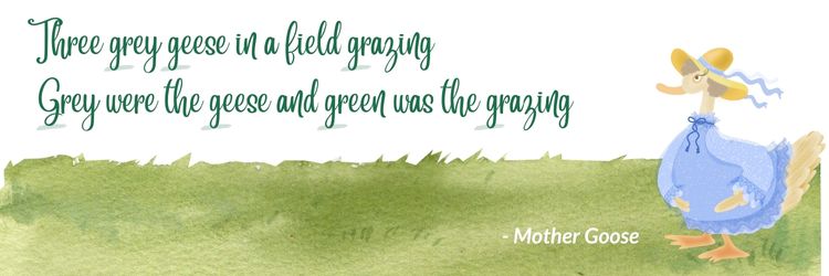 두운 예 어미 거위