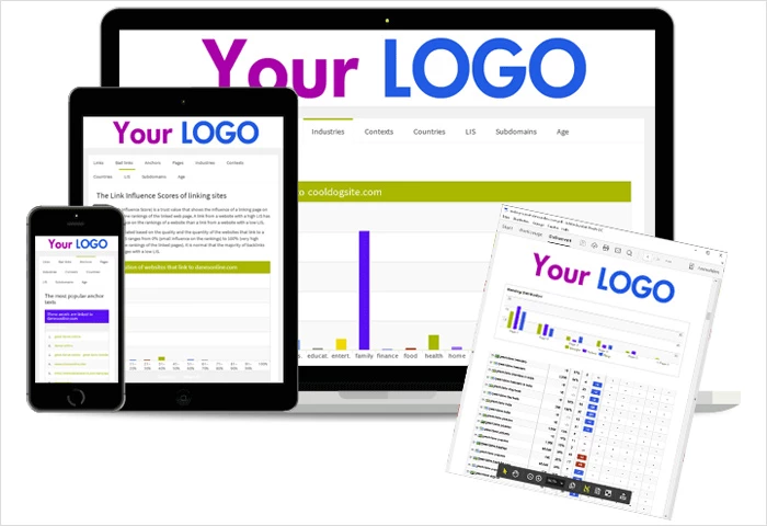 什麼是白標 SEO 報告？