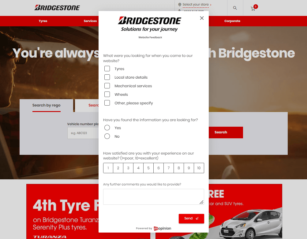 Bridgestone_UX_Umfrage
