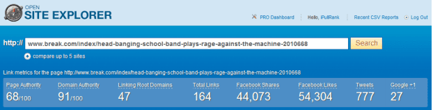 新网站的链接建设