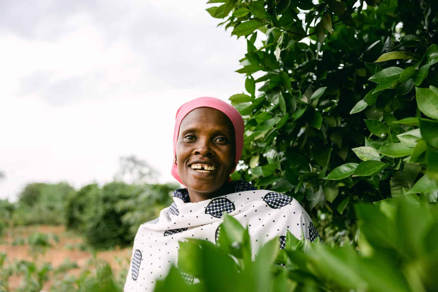 أشجار المستقبل