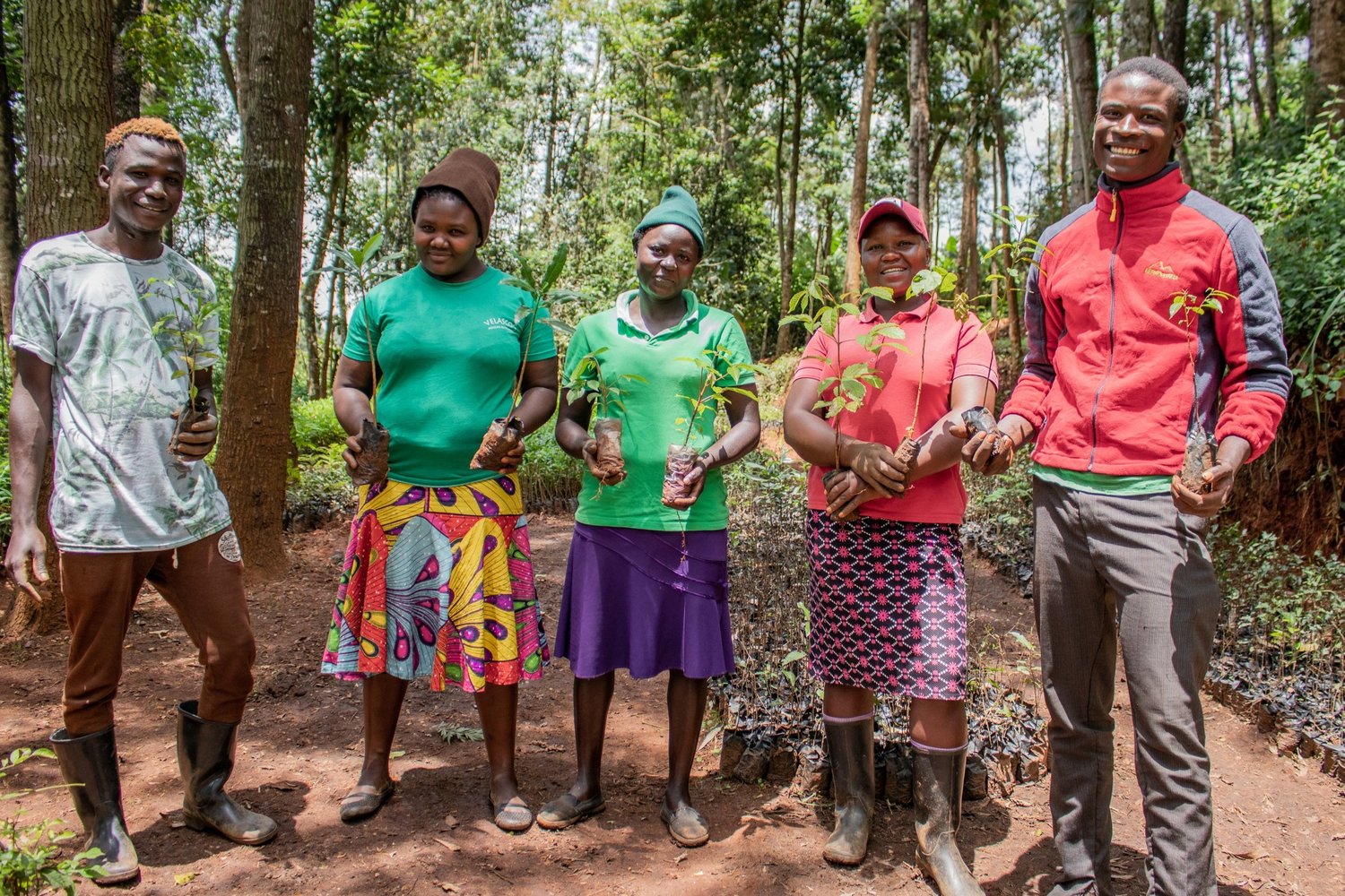 مؤسسة الشجرة الدولية