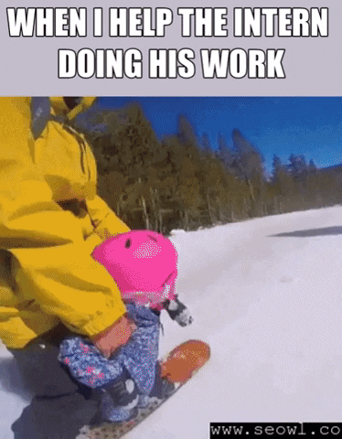 SEOwl GIF - Găsiți și distribuiți pe GIPHY