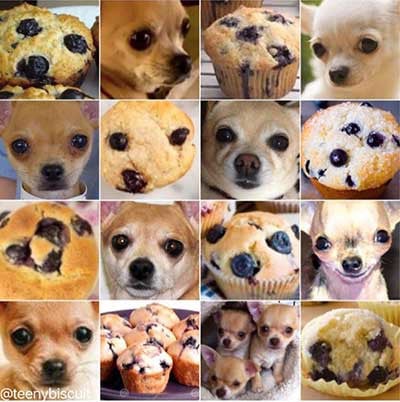 köpek ve çikolata parçacıklı muffin AI örneği
