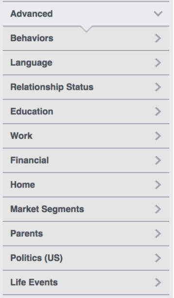 高度な人口統計パラメータに基づいて視聴者を設定する