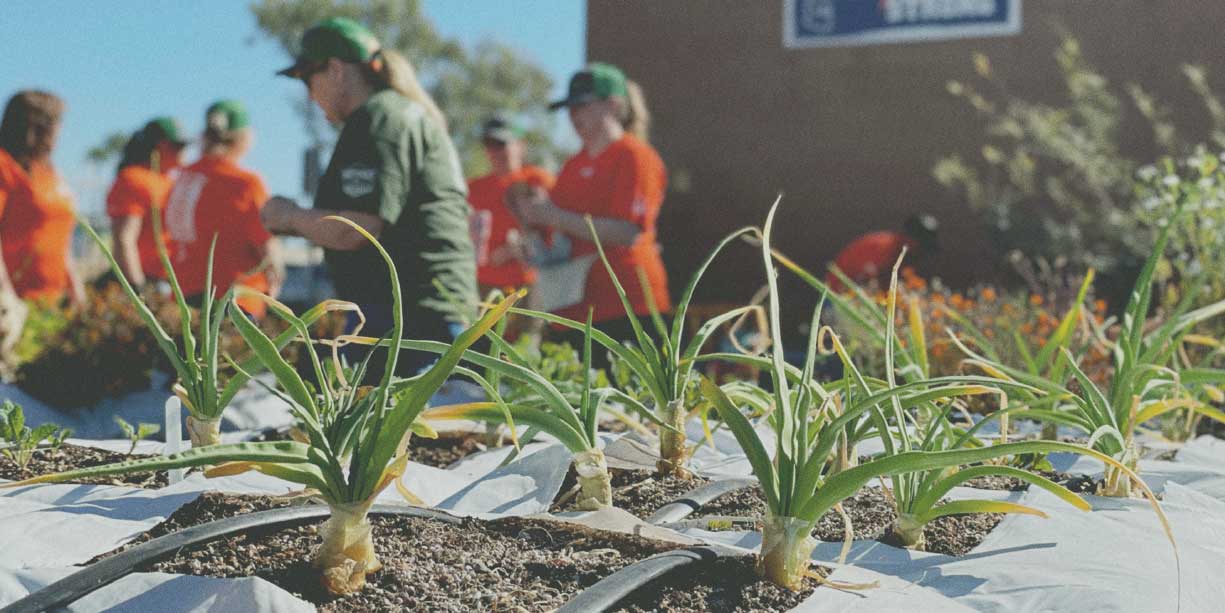 รัฐ-สมัยใหม่-ใจบุญ-สห-ธนาคารอาหาร