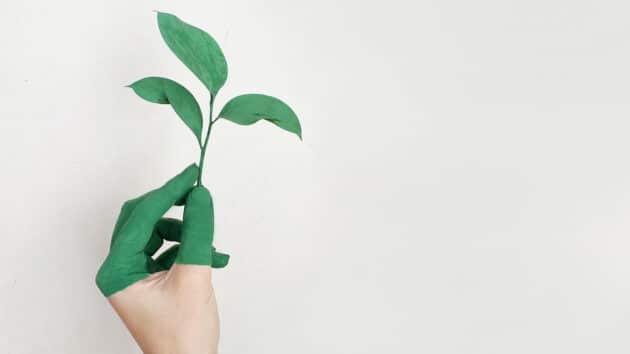 Sostenibilità e Decarbonizzazione