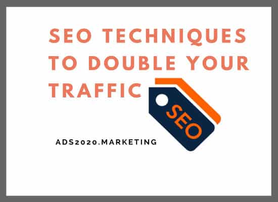 Conseils SEO pour doubler le trafic de votre site Web SEO Tips Techniques to Double your Website Traffic-550x400