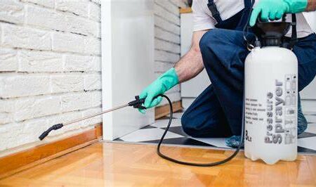 ความสำคัญของการตรวจสอบศัตรูพืชอย่างสม่ำเสมอ