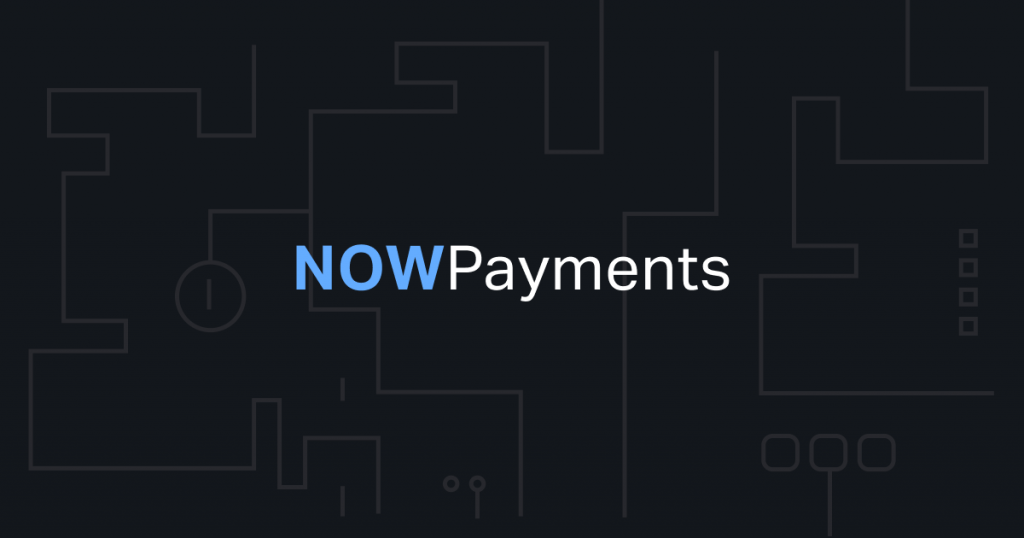 Paiements TUSD sur NOWPayments vs autres options de paiement
