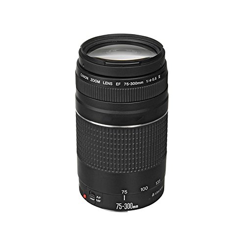 Canon EF 75-300mm f/4-5.6 III เลนส์ซูมเทเลโฟโต้สำหรับกล้อง Canon SLR