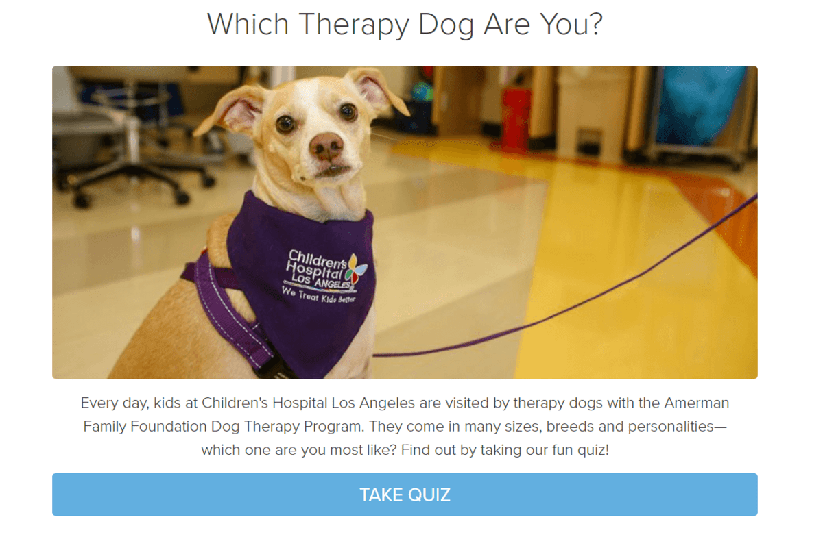 „Ce câine de terapie ești?” Test interactiv