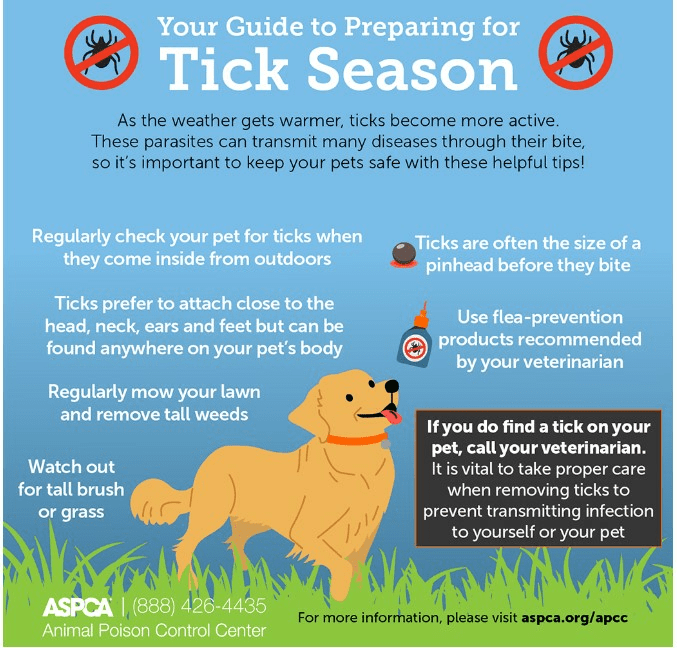 ASPCA 蜱蟲季節信息圖