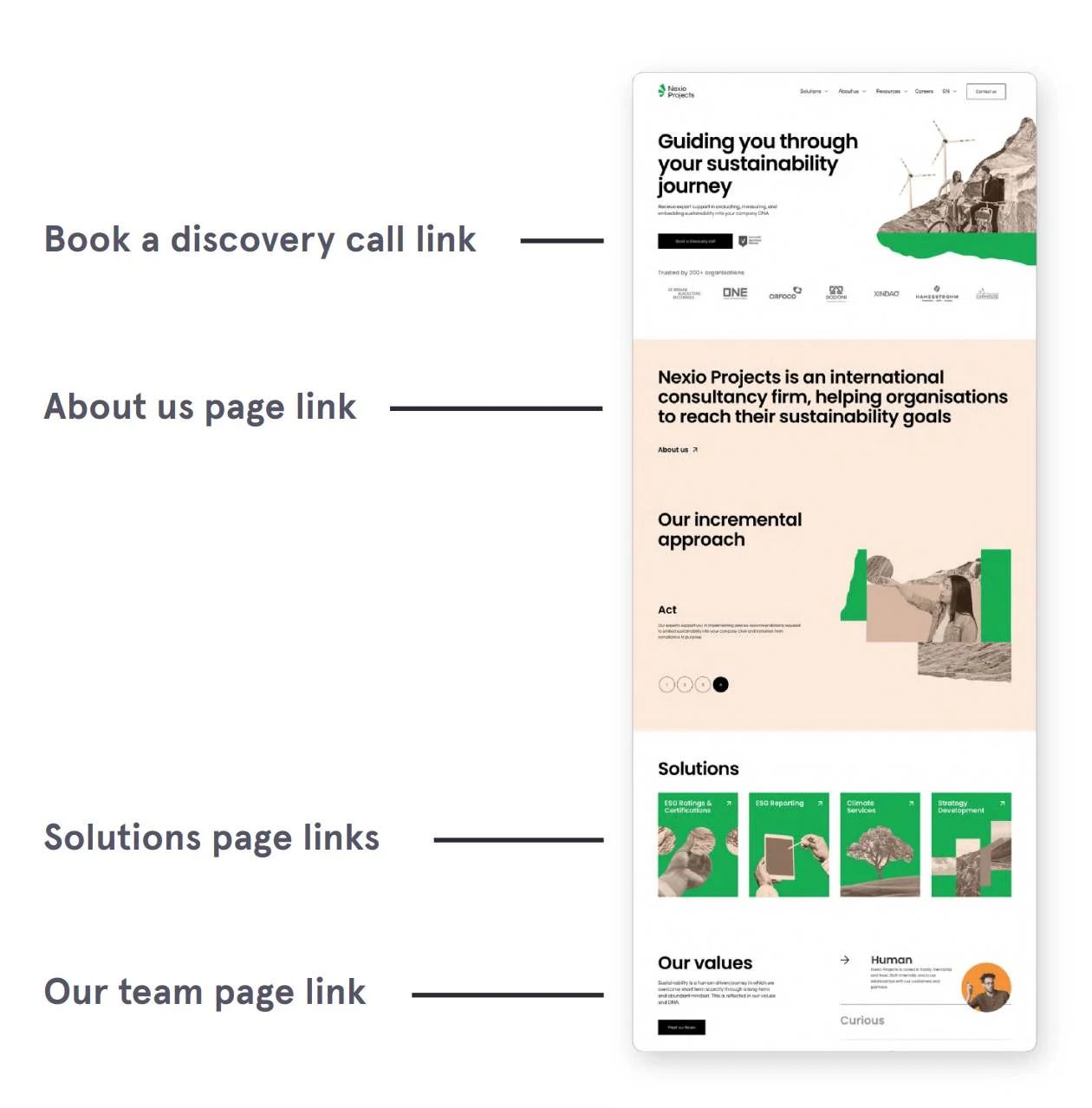 B2B 技術ホームページ nexio