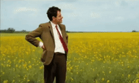 Mr. Bean-Reaktions-GIF