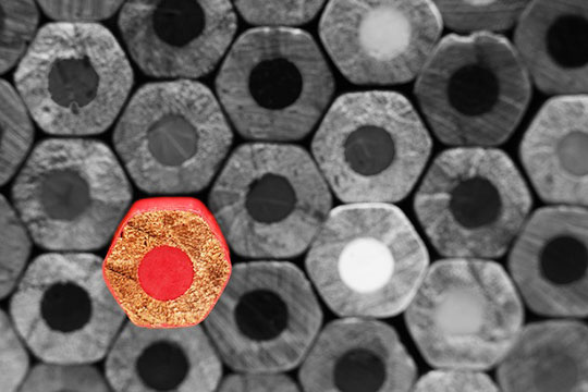 Evidenzia la nicchia Focus Distinguiti