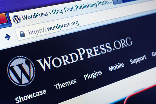 WordPress ウェブサイト URL