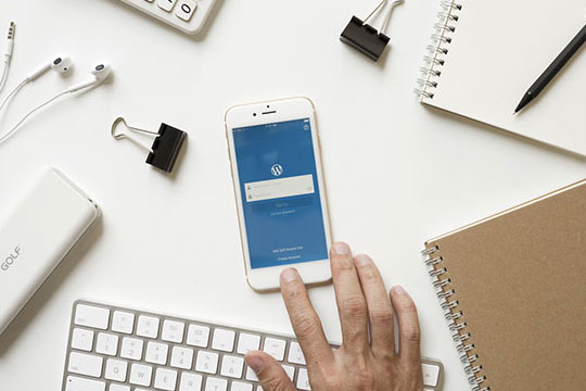 WordPress-Admin-Panel-Login-Registrazione-Sicurezza