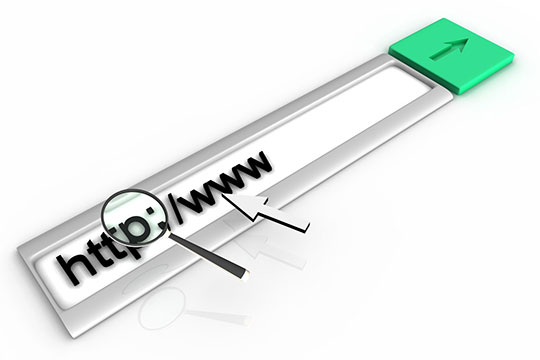 casella-di-ricerca-http-www-dominio-url